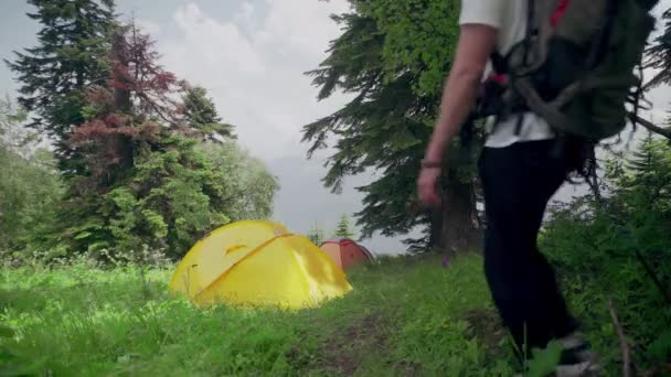 นักท่องเที่ยวชายหนุ่มที่มีกระเป๋าเป้สะพายหลังบนหลังของเขาเดินผ่านป่าในพื้นที่ภูเขา การท่องเที่ยว — วีดีโอสต็อก