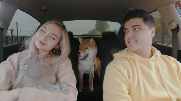 A guy and a girl are driving a car with a cat and a dog, smiling and looking around. People and animals ride in a car — Stock Video