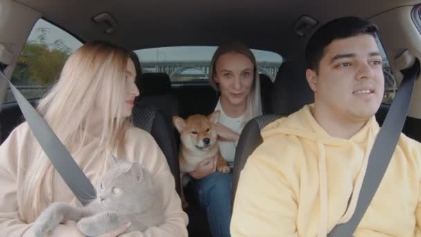 Μια μικρή ομάδα ανθρώπων είναι σε ένα αυτοκίνητο με μια γάτα και ένα σκύλο, χαμογελώντας και κοιτάζοντας γύρω. Οι άνθρωποι και τα ζώα οδηγούν σε ένα αυτοκίνητο — Αρχείο Βίντεο