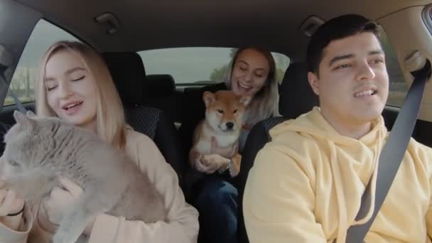 Um pequeno grupo de pessoas está andando em um carro com um gato e um cachorro, sorrindo e olhando ao redor. Pessoas e animais andam de carro — Vídeo de Stock