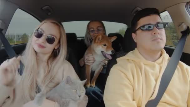Güneş gözlüğü takan küçük bir grup insan, kedi ve köpekle birlikte arabayla geziyor, gülümsüyor ve etrafa bakınıyorlar. İnsanlar ve hayvanlar bir arabaya binerler. — Stok video