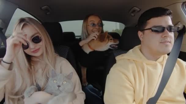 A small group of people wearing sunglasses are driving in a car with a cat and a dog, smiling and looking around. People and animals ride in a car — Stock Video