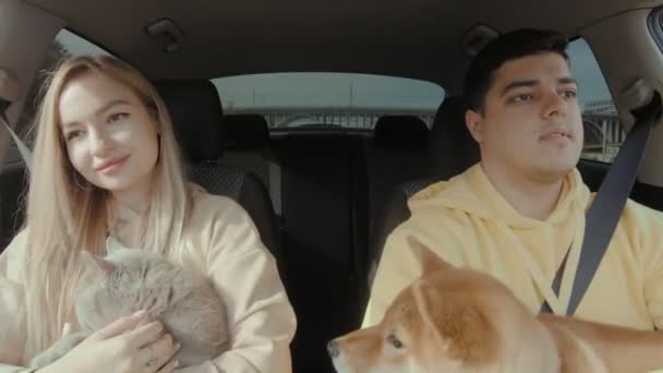 Bir adam ve bir kız bir kedi ve bir köpekle araba sürüyorlar. Bir adam ve bir kız arabada öpüşüyorlar. İnsanlar ve hayvanlar bir arabaya binerler. — Stok video