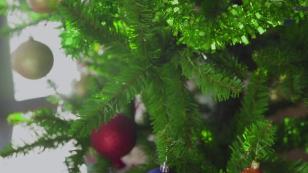 Kvinnors händer hänger en julboll på julgranen. Närbild. Julen. Nytt år. — Stockvideo