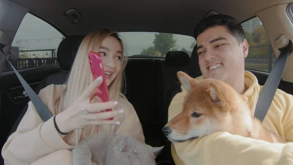 A guy and a girl are driving in a car with a cat and a dog. A girl shows something on her phone to her boyfriend. People and animals ride in a car — Stok fotoğraf