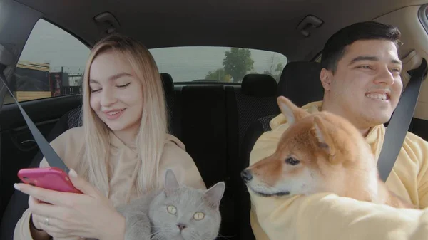 A guy and a girl are driving in a car with a cat and a dog. The girl looks at her phone. People and animals ride in a car — Φωτογραφία Αρχείου