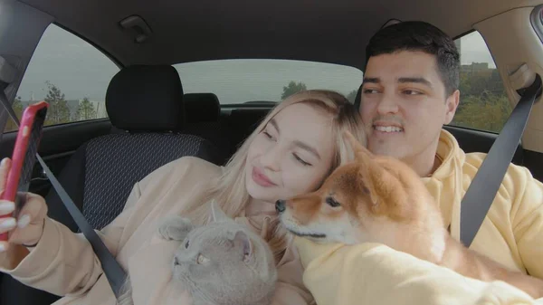 A guy and a girl are driving in a car with a cat and a dog. A guy and a girl take a selfie on their phone in the car. People and animals ride in a car — Φωτογραφία Αρχείου