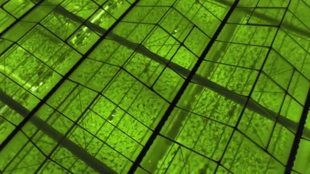 Abstract green geometric background. Illuminated greenhouses at night. Agricultural infrastructure on glass roofs. — Stock Video