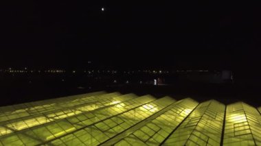 Soyut yeşil geometrik arkaplan. Geceleri seraları aydınlatıyordu. Cam çatılarda tarım altyapısı.
