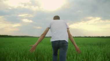 Genç bir adam güneşli bir yaz gününde tarlada yürüyor.