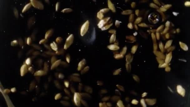 ビールやウイスキーを作るための大麦麦芽。モルトは暗い背景で醸造されます。. — ストック動画