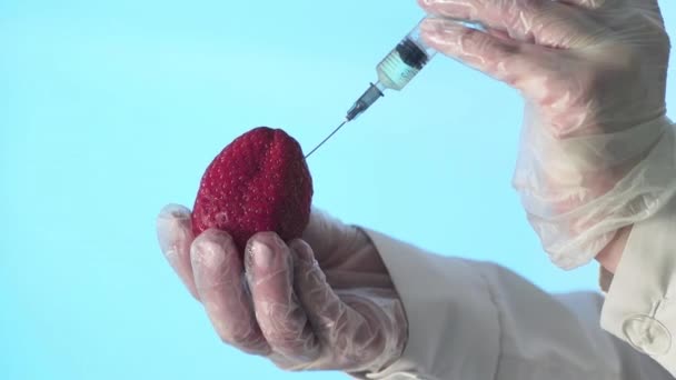 Gros plan d'un humain en blouse médicale et gants injectant une seringue dans des fraises avec un peu de liquide sur fond bleu — Video