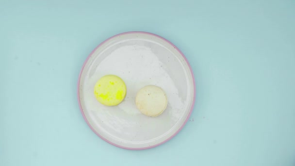 Horní pohled na multi-barevné francouzské Macarons cookies na pastelově modrém pozadí. Ženská ruka dává sušenky do talíře — Stock video