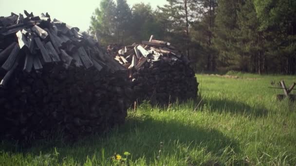 Bois de chauffage pour un feu par une journée ensoleillée dans la nature. Forêt de pins en arrière-plan — Video