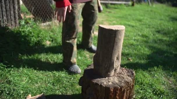 Ein Mann im Wald versucht, einen Baumstamm mit einer Axt zu spalten. Nahaufnahme — Stockvideo