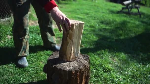 Een man in het bos probeert een stam met een bijl te splijten. Close-up — Stockvideo