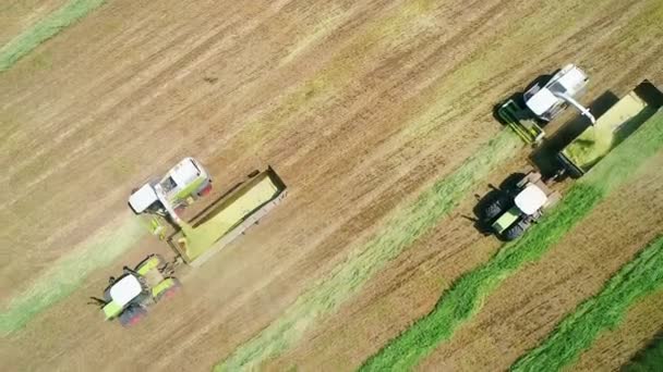 Visão de olho de aves de trator e caminhão que trabalham no campo — Vídeo de Stock