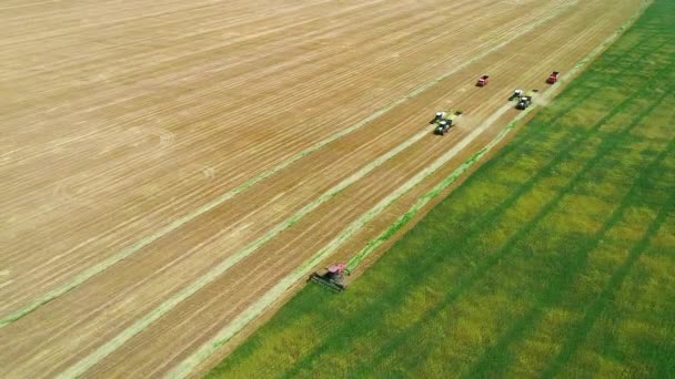 Vista a volo d'uccello di trattore e camion che lavorano sul campo — Video Stock