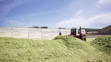 Traktör ve kamyon sahada çalışıyor. Yazın büyük buğday hasadı bir tarla yaşam tarzında
