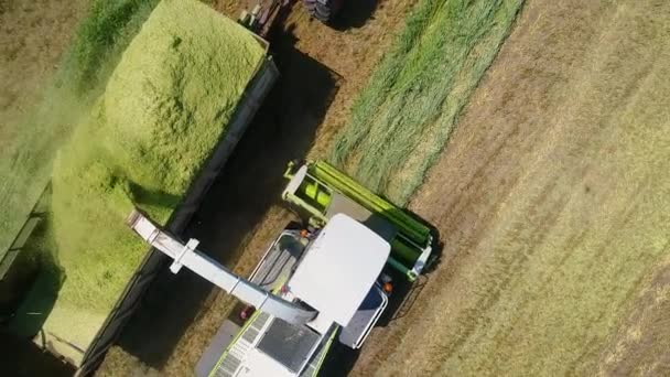 Tarlada çalışan traktör ve kamyonun kuş bakışı görüntüsü. — Stok video