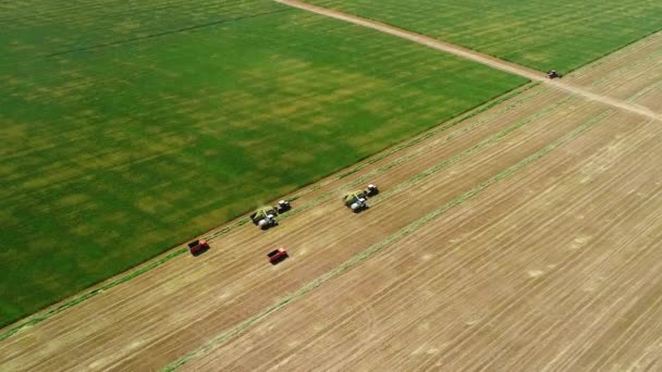 Vista a volo d'uccello di trattore e camion che lavorano sul campo — Video Stock