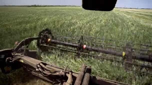 Крупный план Современный комбайн собирает спелую пшеницу, оставляя за собой облако пыли на пшеничном поле. — стоковое видео
