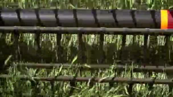 Décryptages Une moissonneuse moderne récolte du blé mûr, laissant derrière elle un nuage de poussière dans le champ de blé. — Video
