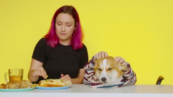 Uma menina senta-se em uma mesa, come fast food e alimenta seu cão corgi em um fundo amarelo. O conceito de comida saudável e insalubre. Fast food — Vídeo de Stock
