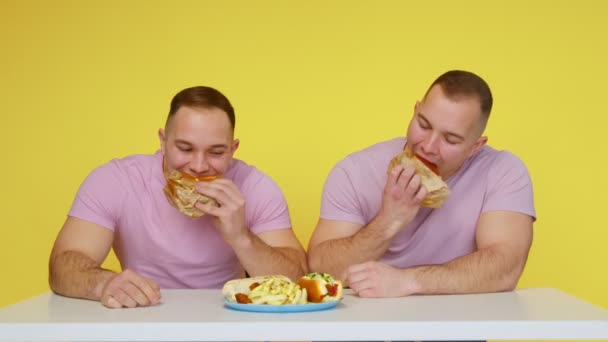 Дві яловичі близнюки їдять фаст-фуди на жовтому тлі. Концепція здорової та здорової їжі. Фастфуд — стокове відео