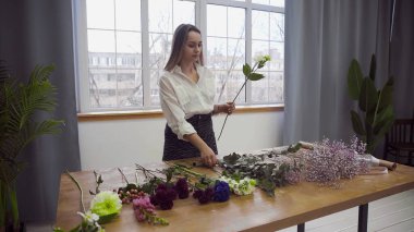 Çiçekçilikle meşgul genç ve güzel bir kadın çiçek aranjmanı için en iyi çiçekleri toplamaya başlar. Çiçek.