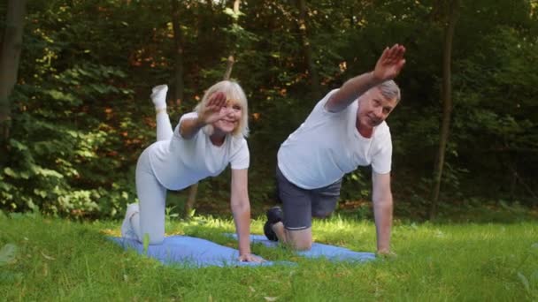 Aptidão para idosos. Homem e mulher idosos felizes que exercem no parque público, fazendo o exercício ativo do ioga, câmera lenta — Vídeo de Stock