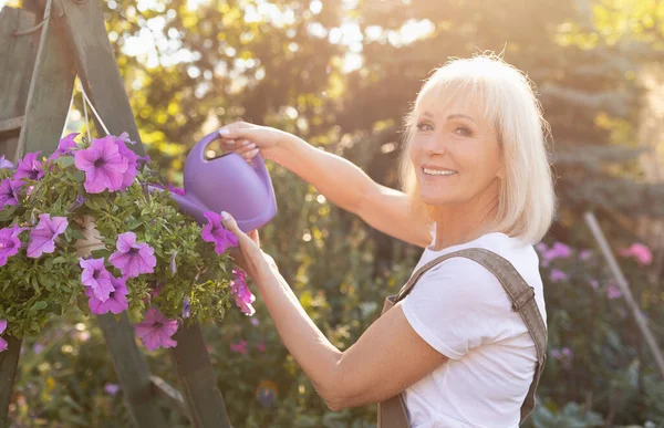 Bahçe işleri konsepti. Kendi bahçesinde petunya çiçeklerini sulayan mutlu son sınıf kadını. — Stok fotoğraf