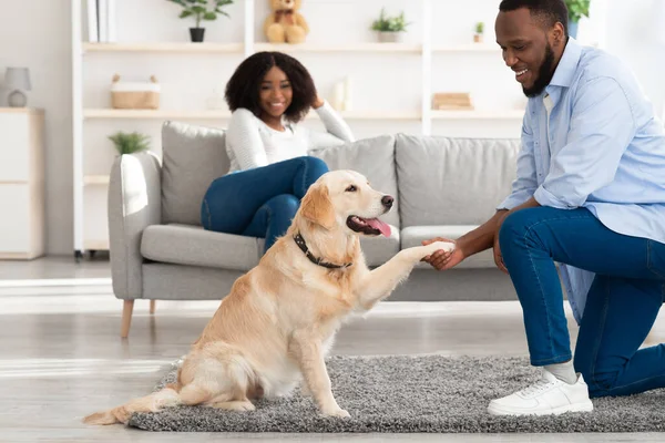 Pria kulit hitam tersenyum bermain dengan anjing di ruang tamu — Stok Foto