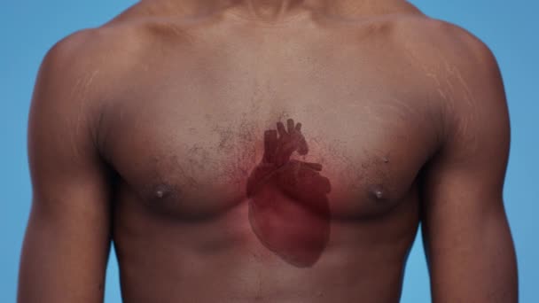 Sistema circulatório humano. Vermelho batendo imagem do coração no corpo de homem americano africano muscular irreconhecível — Vídeo de Stock