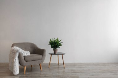 Yumuşak ekoseli retroskopi koltuğu, gri duvar arka planında saksıda bitki bulunan masa.
