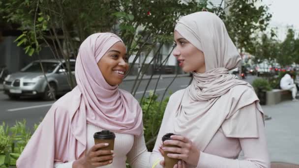 Concepto de amistad femenina. Damas musulmanas afroamericanas y árabes que usan hiyabs disfrutando del café para llevar y hablando — Vídeos de Stock