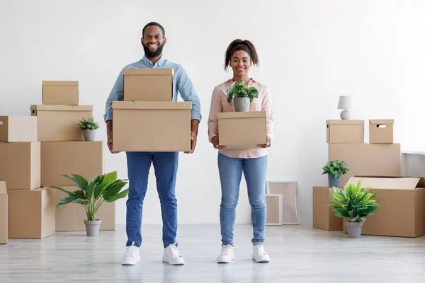 Sorrindo jovem casal negro transportar caixas de papelão, plantas envasadas no quarto com paredes brancas interior — Fotografia de Stock