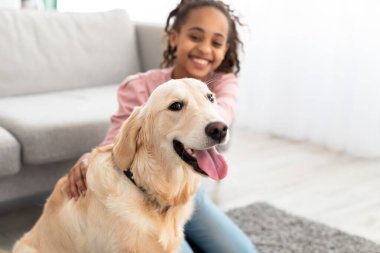 Genç siyah kız köpekle oynuyor, evcil hayvana odaklanıyor.