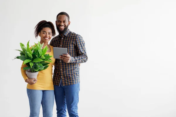Smiling millennial african american couple carry things, plan in new apartment interior, isolated on white background — Stok Foto