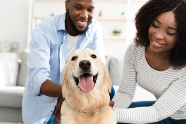 Glad svart par leker med sin glada husdjur hemma — Stockfoto