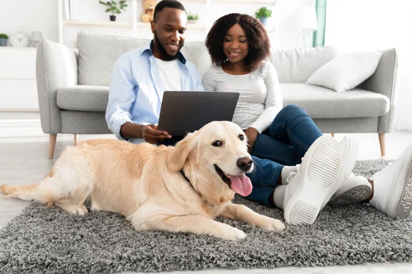 Μαύρο ζευγάρι στο σπίτι χρησιμοποιώντας φορητό υπολογιστή χαλαρώνοντας με το σκυλί — Φωτογραφία Αρχείου