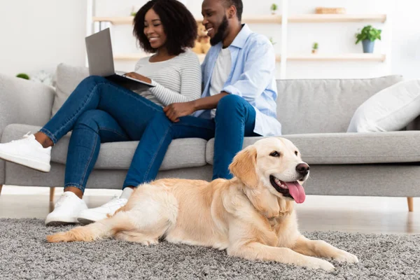 Pasangan hitam di rumah menggunakan pc laptop relaxing dengan anjing — Stok Foto