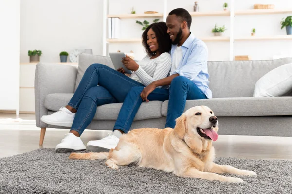 Couple noir à la maison en utilisant une tablette relaxante avec chien — Photo