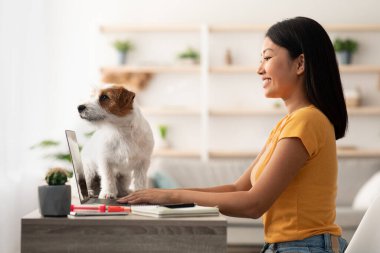 Genç Koreli kadın dizüstü bilgisayar kullanıyor, köpekle masada oturuyor.
