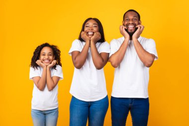 Kameraya bakan genç siyahi bir ailenin portresi.