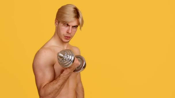 Muscular build. Young sporty muscular man lifting dumbbell and looking at camera, orange background with empty space — Stock Video