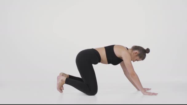 Pratique de yoga. Portrait de profil de femme flexible faisant pose d'enfant et asanas de chien vers le bas, fond studio blanc — Video