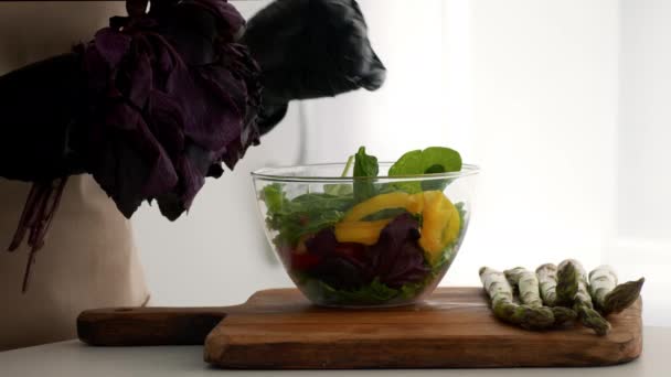 烹调蔬菜沙律，在厨房里加入罗勒叶，收割 — 图库视频影像