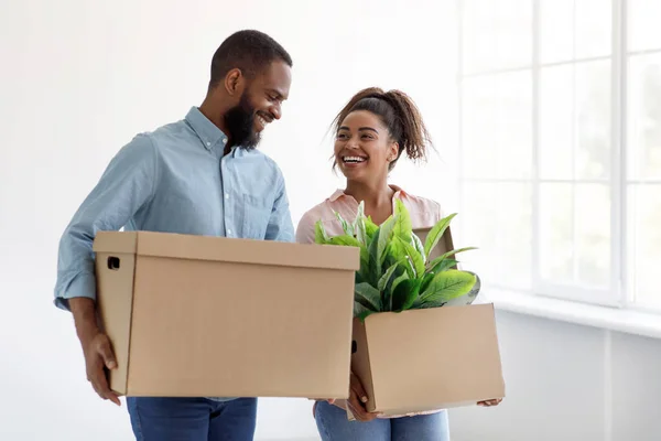 Nöjd glad ung afrikansk amerikansk man och hustru bära pappkartonger med växt och flytta till ny lägenhet — Stockfoto