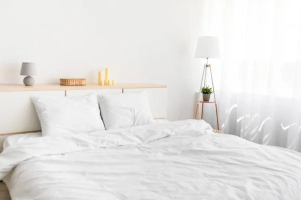 편안 한 침구로 이중 침대, 식물로 만든 램프, 가구 — 스톡 사진